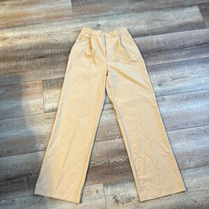 Zara High Waisted Pleated Pant